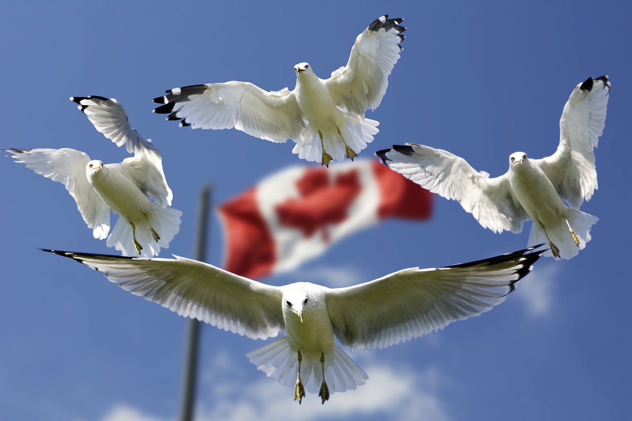 Flag