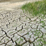 climate change effects
