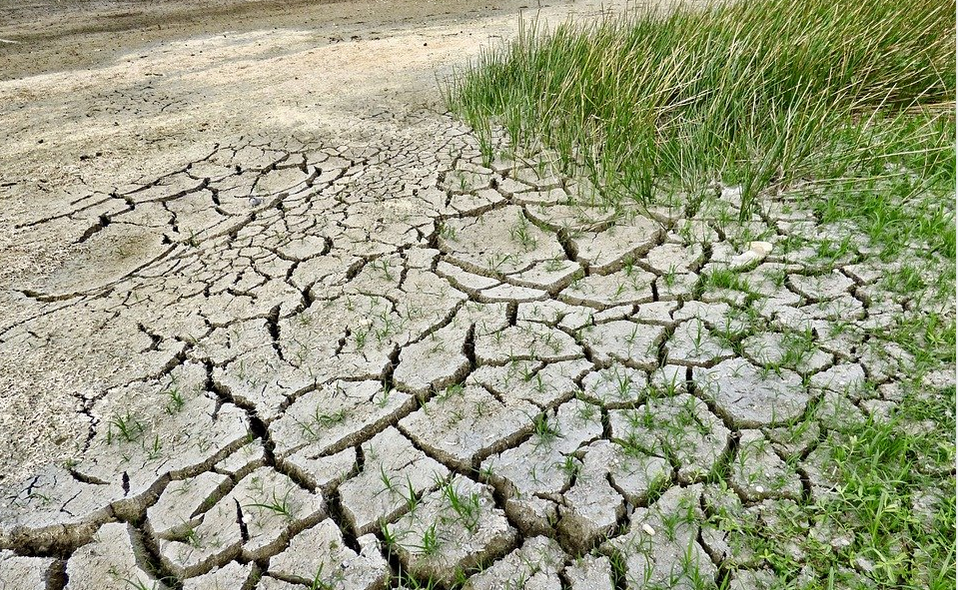 climate change effects